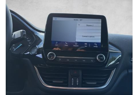 Ford Fiesta #17