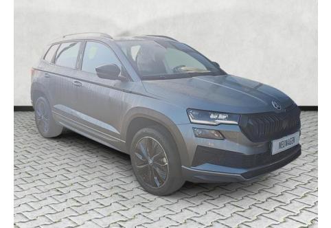Skoda Karoq #1