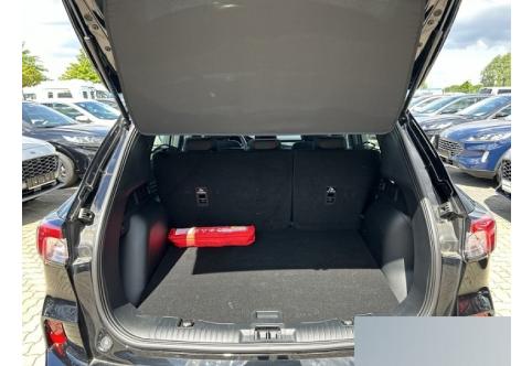 Ford Kuga #9