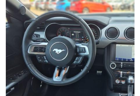 Ford Mustang #17