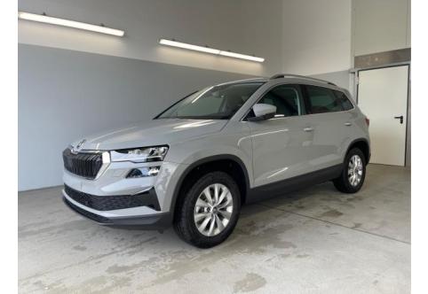 Skoda Karoq #1