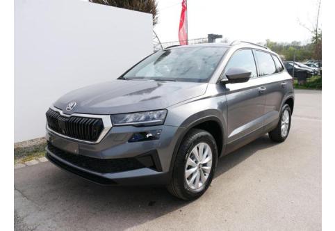 Skoda Karoq #1