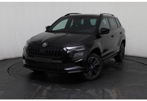 Skoda Karoq #1