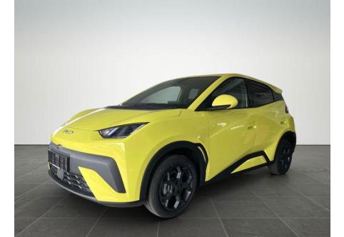 BYD DOLPHIN #1