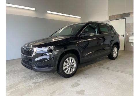 Skoda Karoq #1