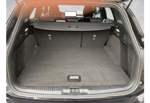 Ford Focus #11