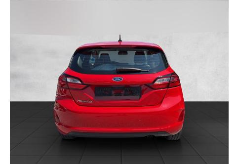 Ford Fiesta #13