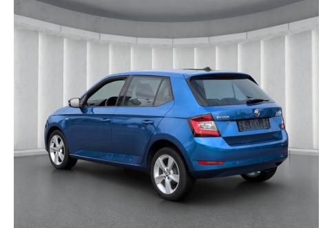 Skoda Fabia #22