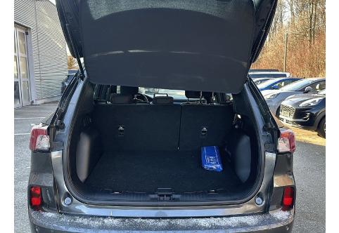 Ford Kuga #12
