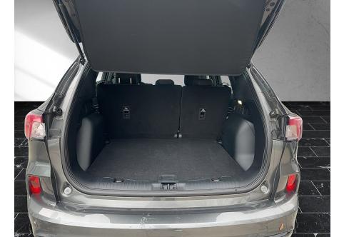 Ford Kuga #2