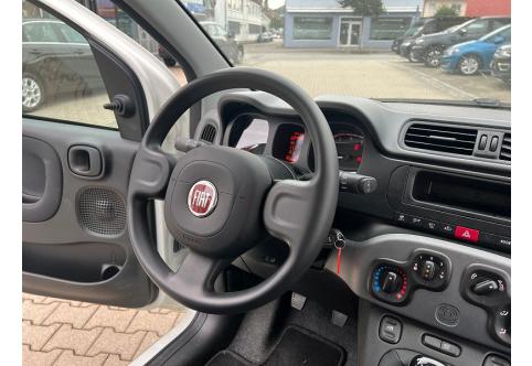 Fiat New Panda #25