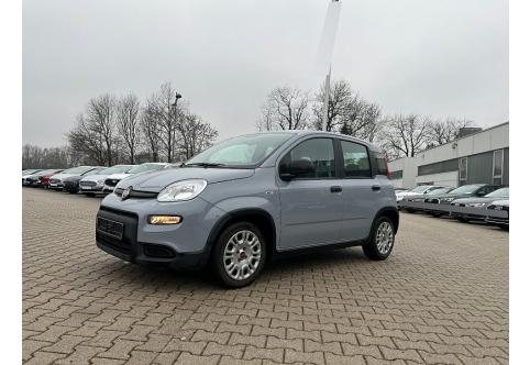 Fiat Panda #1