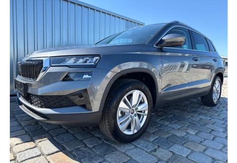 Skoda Karoq #1