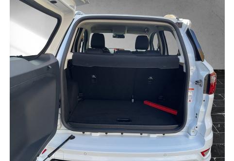 Ford EcoSport #2