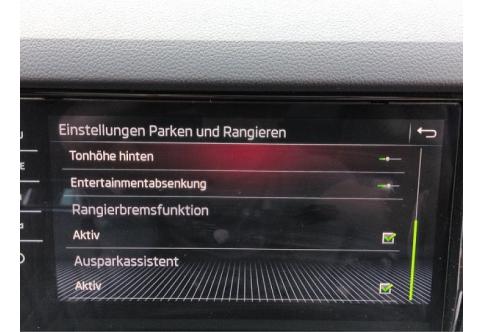 Skoda Kodiaq #14