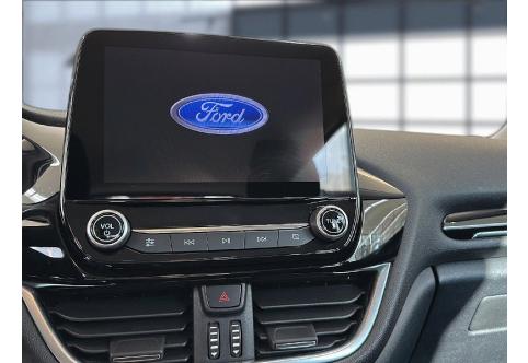 Ford Fiesta #13