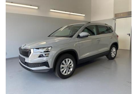 Skoda Karoq #1
