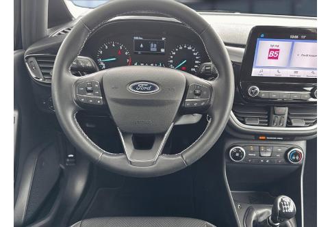 Ford Fiesta #14