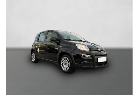 Fiat Panda #5