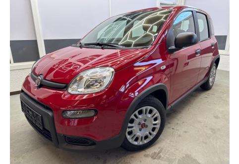 Fiat Panda #2