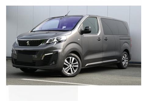 Peugeot Traveller #1