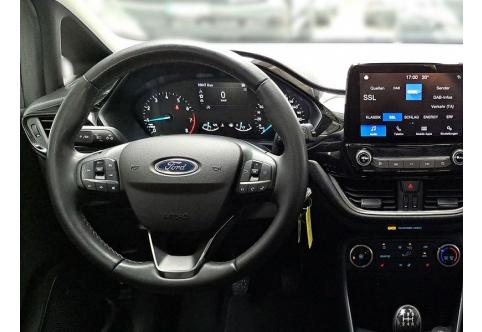 Ford Fiesta #10