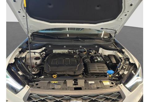 Seat Ateca #19