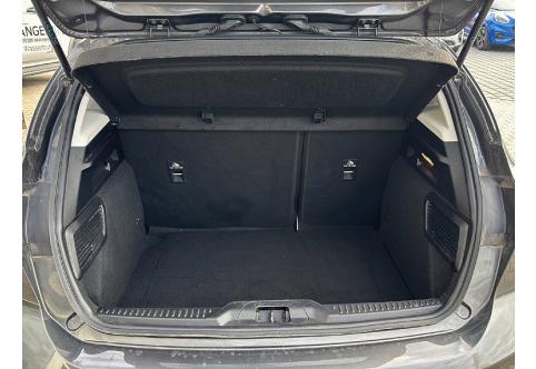 Ford Focus #21