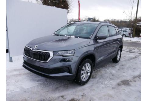Skoda Karoq #1