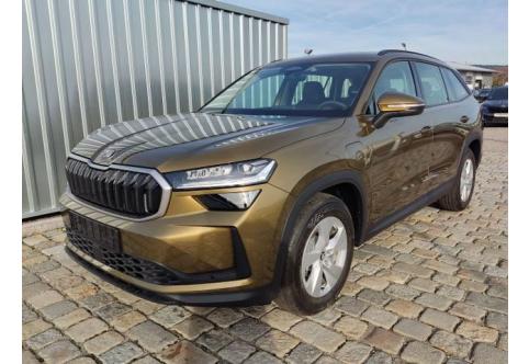 Skoda Kodiaq #1