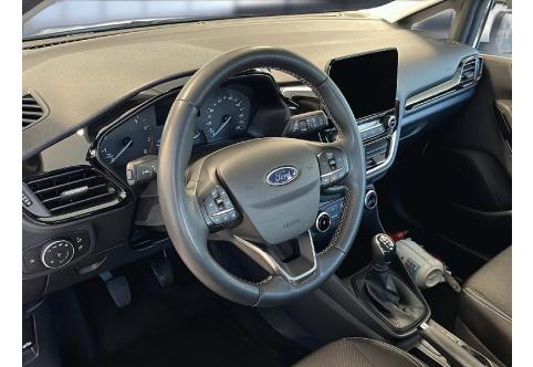 Ford Fiesta #10