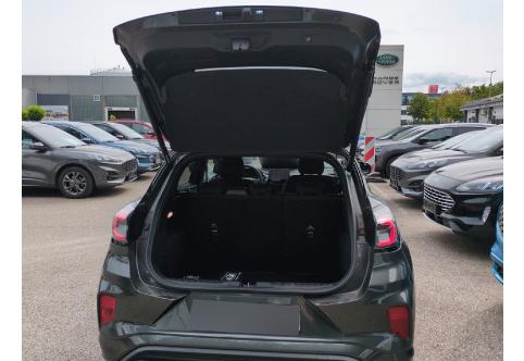 Ford Puma #21
