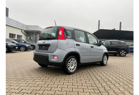 Fiat Panda #4