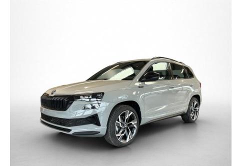 Skoda Karoq #1