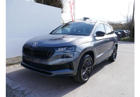 Skoda Karoq #1