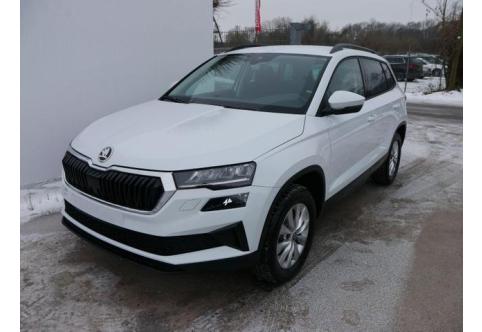 Skoda Karoq #1