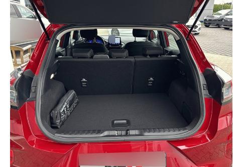 Ford Puma #19