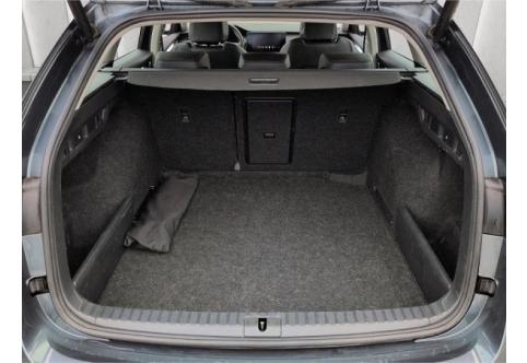 Skoda Octavia #10