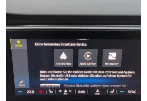 Skoda Octavia #17