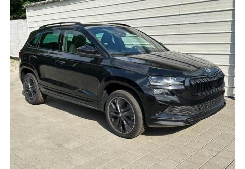 Skoda Karoq #1