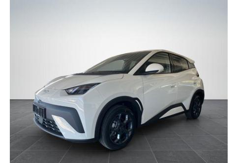 BYD DOLPHIN #1