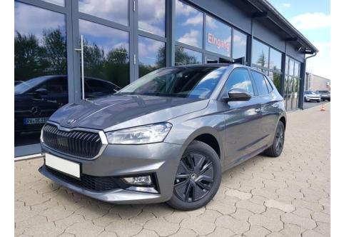 Skoda Fabia #1