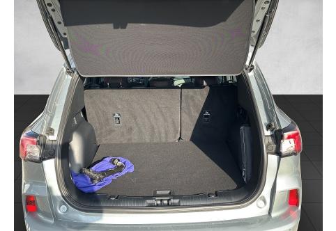 Ford Kuga #10