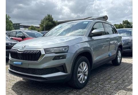 Skoda Karoq #1