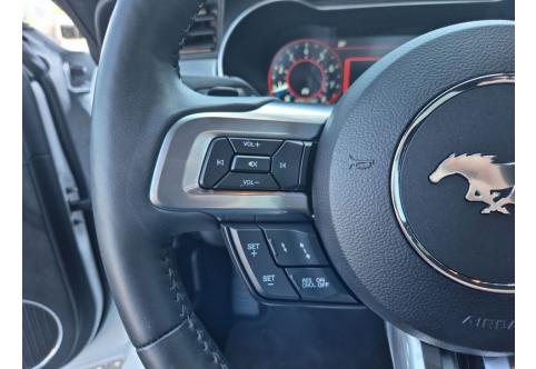 Ford Mustang #19