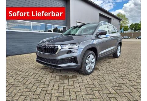 Skoda Karoq #2