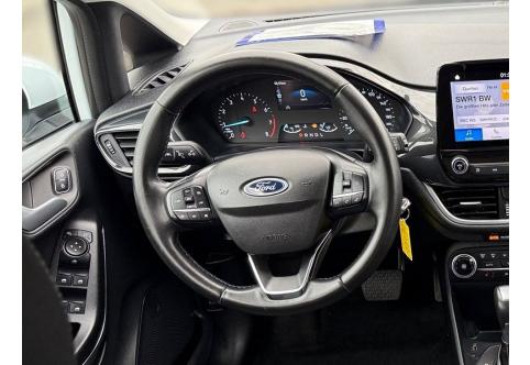 Ford Fiesta #10