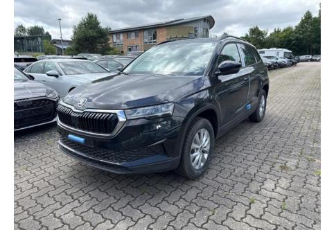 Skoda Karoq #1