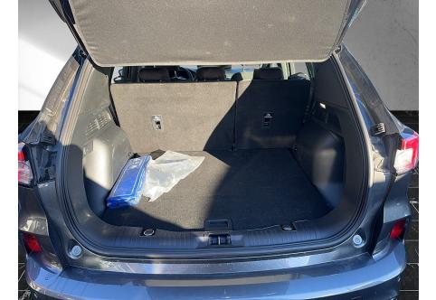 Ford Kuga #2