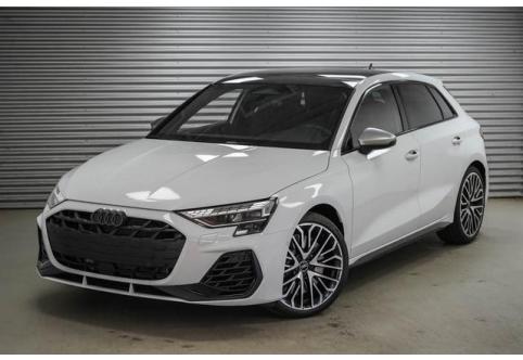 Audi S3 #1